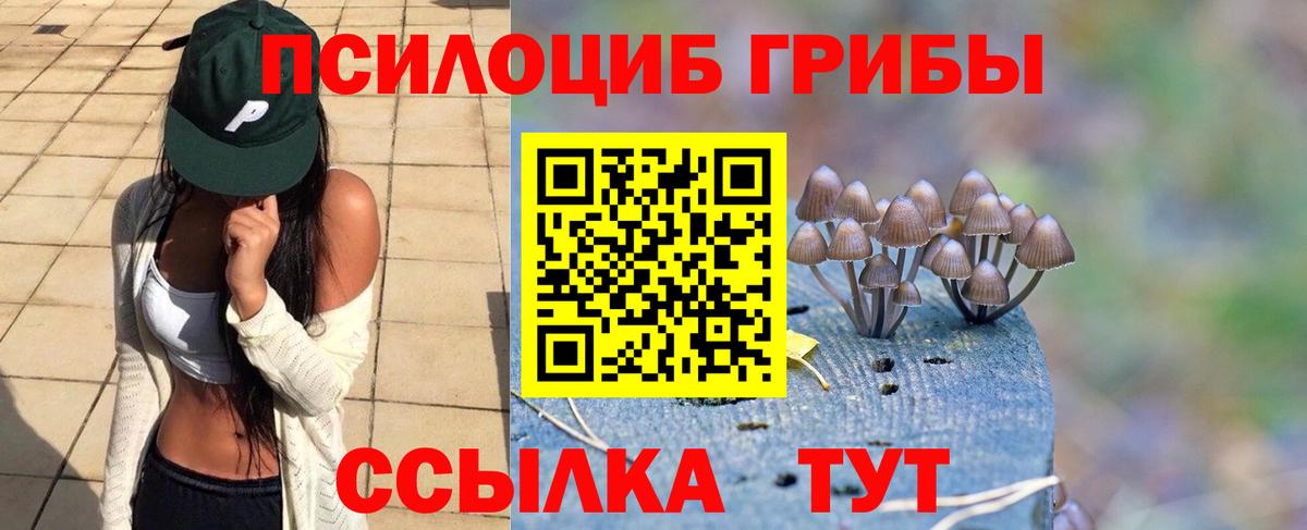Псилоцибиновые грибы Cubensis Киров
